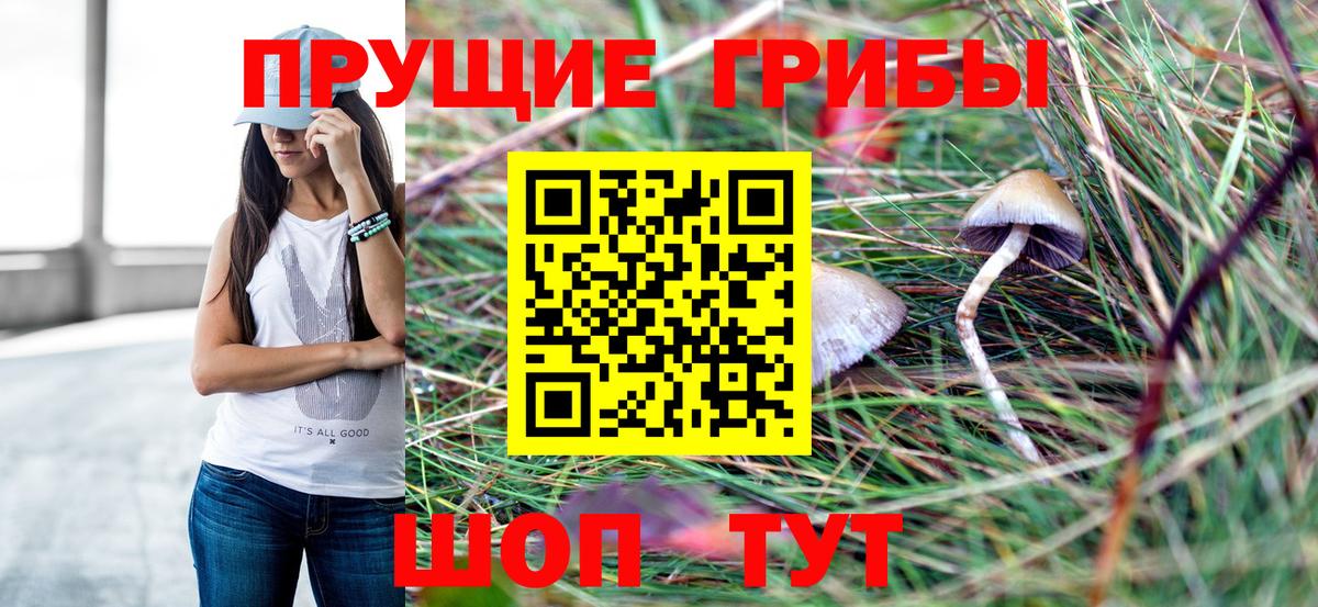 продажа наркотиков  Вход с VPN  Югорск  Галлюциногенные грибы мухоморы 